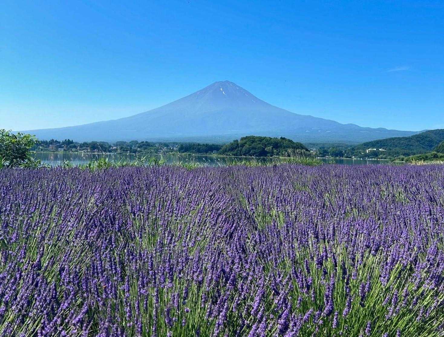 Holiday Home Furinkazan 風林火山 Fujikawaguchiko Buitenkant foto